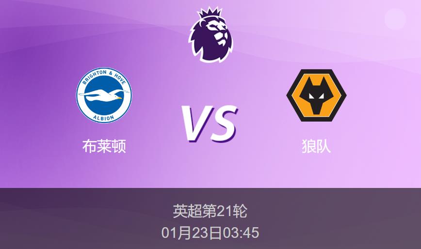 英超前瞻:布莱顿vs狼队比分预测分析